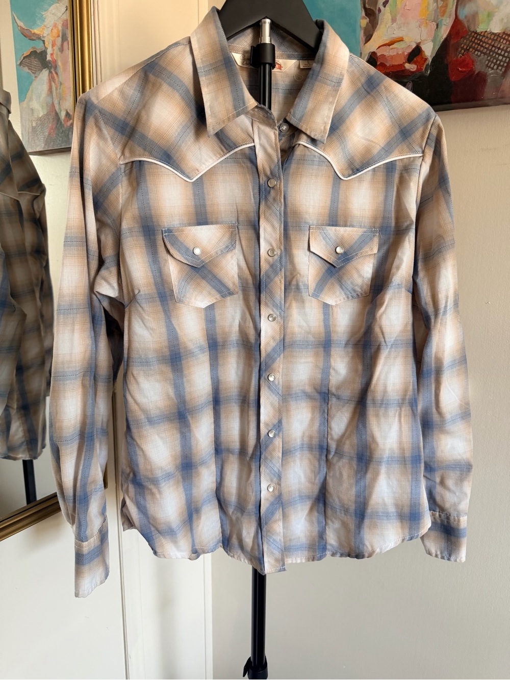 Womenβs Plaid Button-Down Western Shirt - Blue & Tan